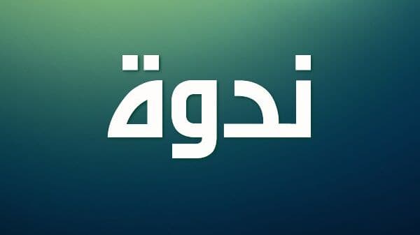 ندوة عن "أزمة مضيق هرمز وتداعياتها" في منتدى شملان الثقافي
