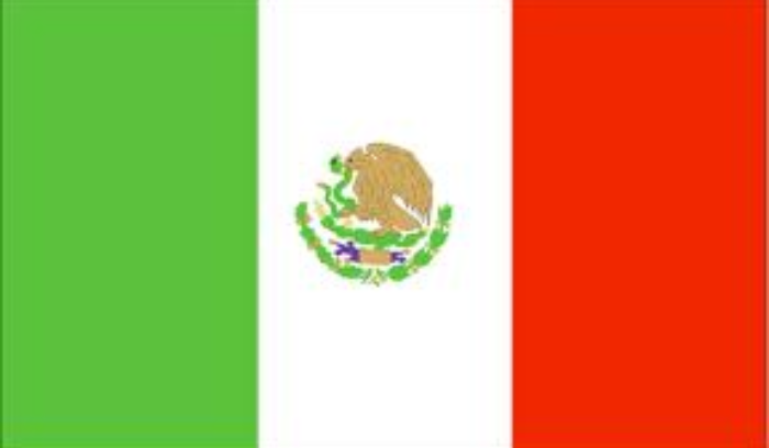 قتيل جراء زلزال قوي ضرب المكسيك في ذكرى زلزالين مدمّرين